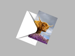 To buy a print or any of the below please click on the images